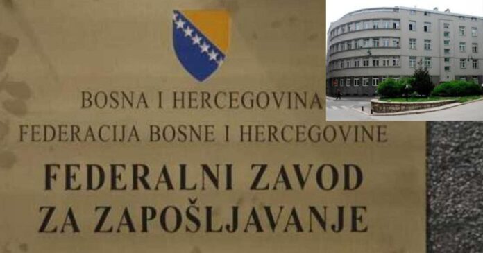 Zavod za zapošljavanje FBiH često ima javne pozive za programe za zapošljavanje i samozapošljavanje