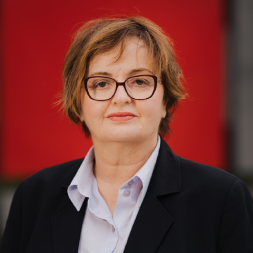 prof. dr. Vejdana Tomić, ginekologinja