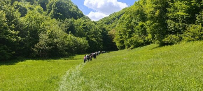 Kudići nadomak Velike Kladuše