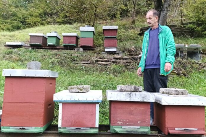 Mirzo Maslić, pčelar iz Donje Jablanice - arhivski snimak - preuzet od novikonjic.ba