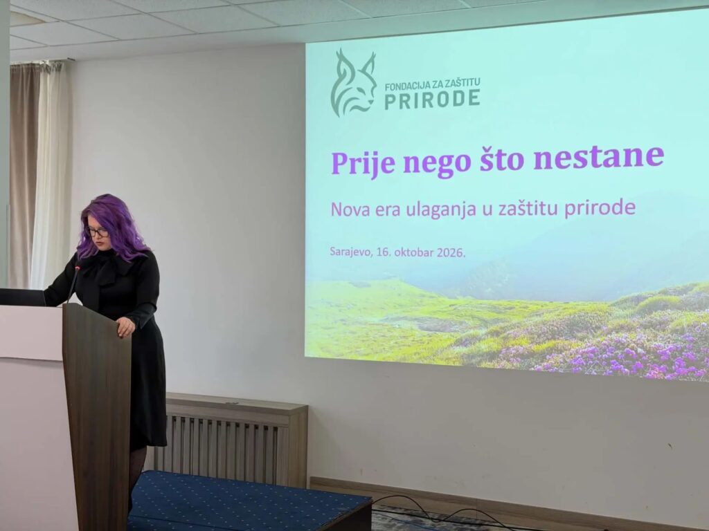 Dajana Cvjetković, direktorica Fondacije