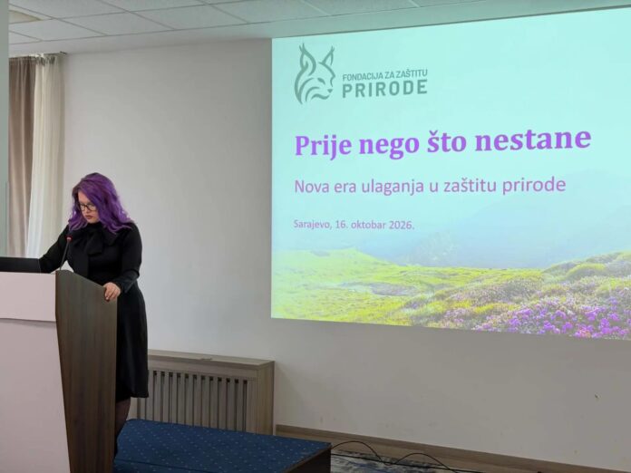 Dajana Cvjetković, direktorica Fondacije