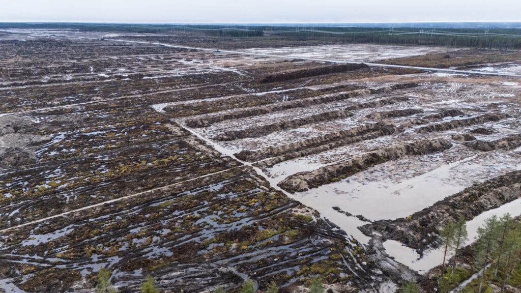 Guglova čista zona duga je 3 km i široka 2 km, ukupno 330 hektara i 400 metara od rijeke Oulujoki. Fotografija: Jarno Artika/The Guardian