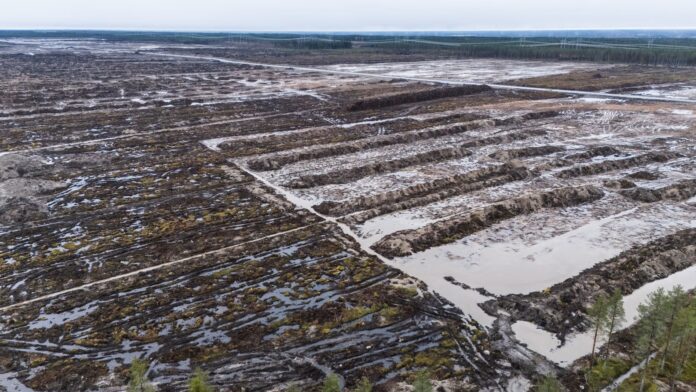 Guglova čista zona duga je 3 km i široka 2 km, ukupno 330 hektara i 400 metara od rijeke Oulujoki. Fotografija: Jarno Artika/The Guardian